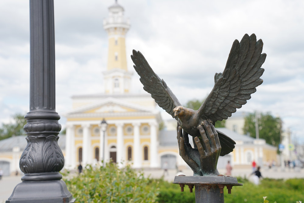 Голубь