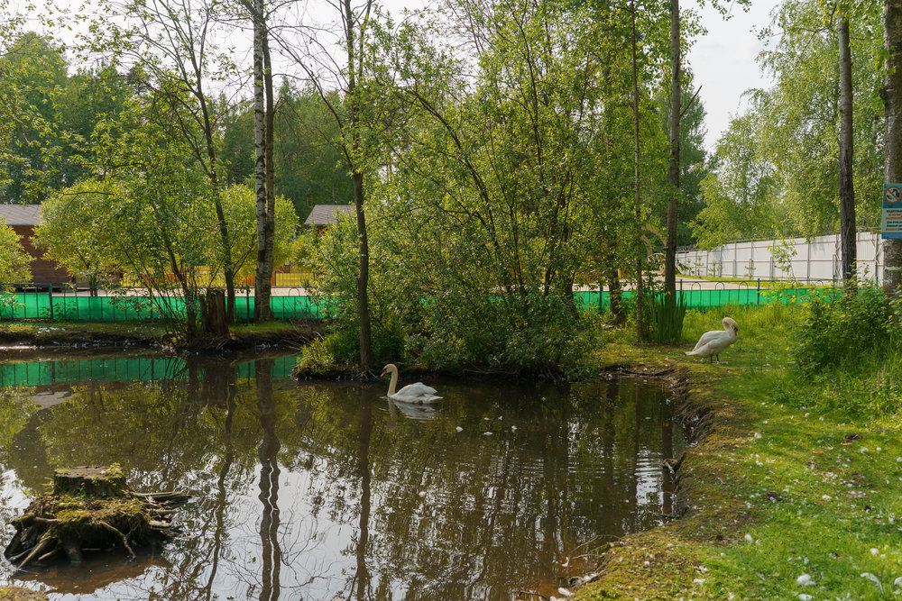 Зоопарк