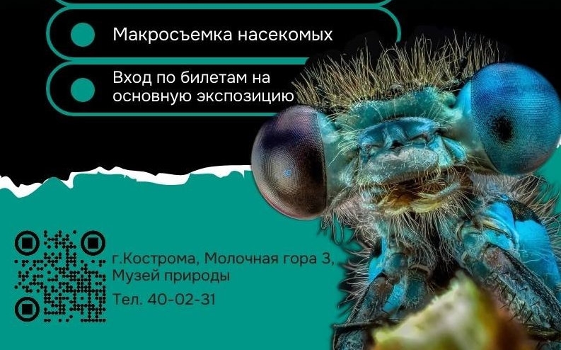 Выставка фотографа Олега Савицкого «Монстры травяных джунглей»