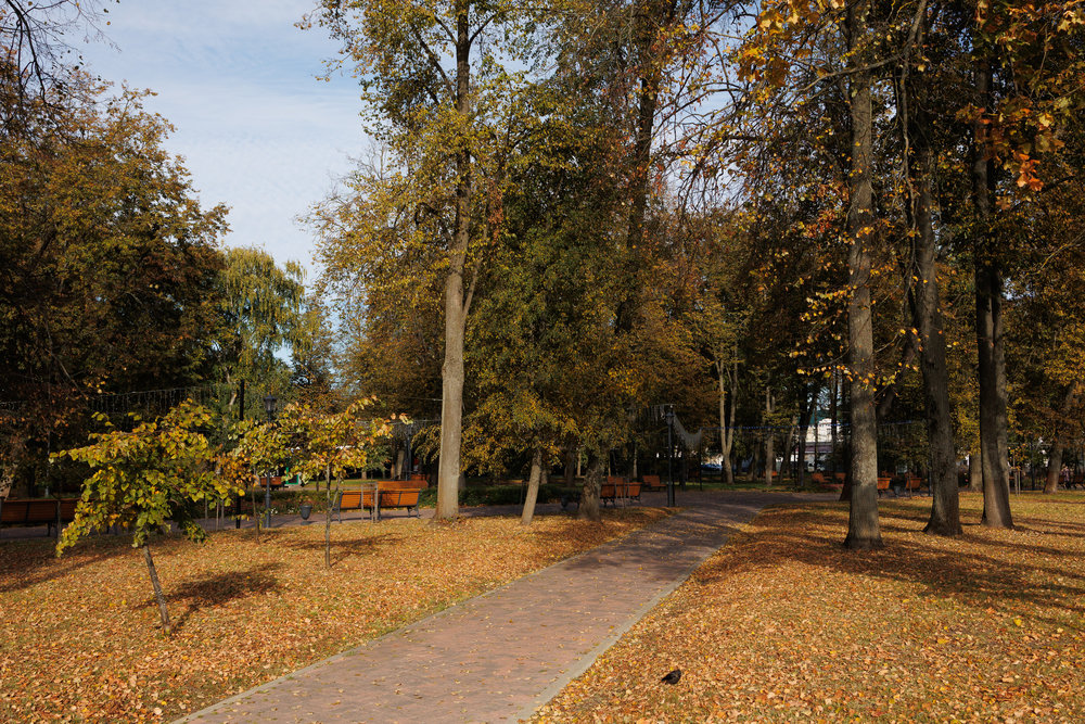 Парк «Центральный»