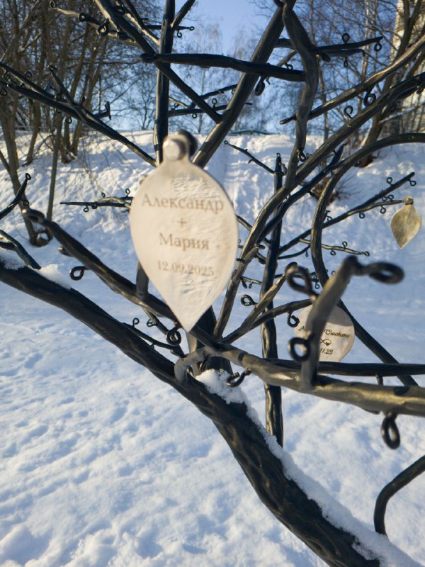 Дерево любви