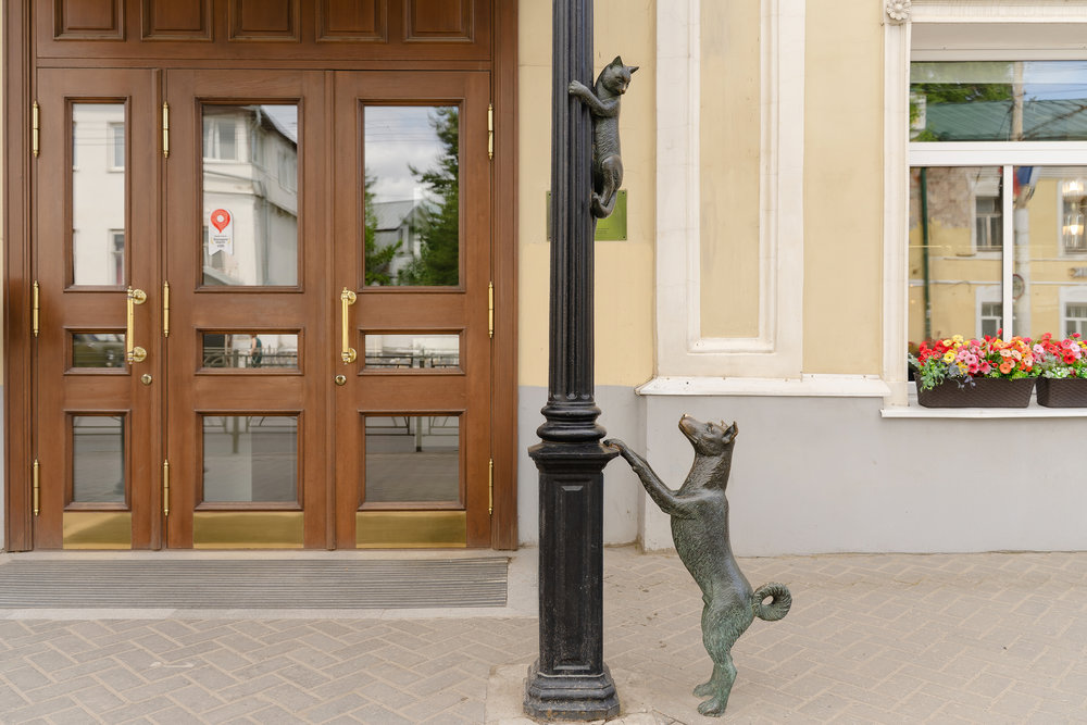 Кот и собака