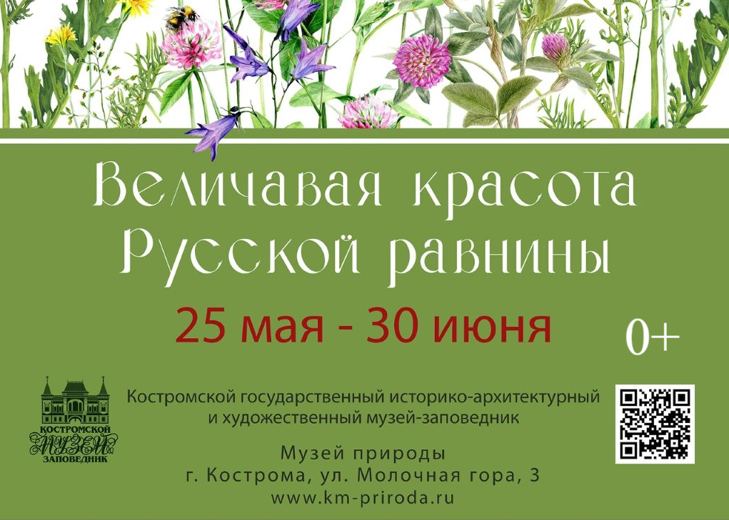 Выставка «Величавая красота Русской равнины»