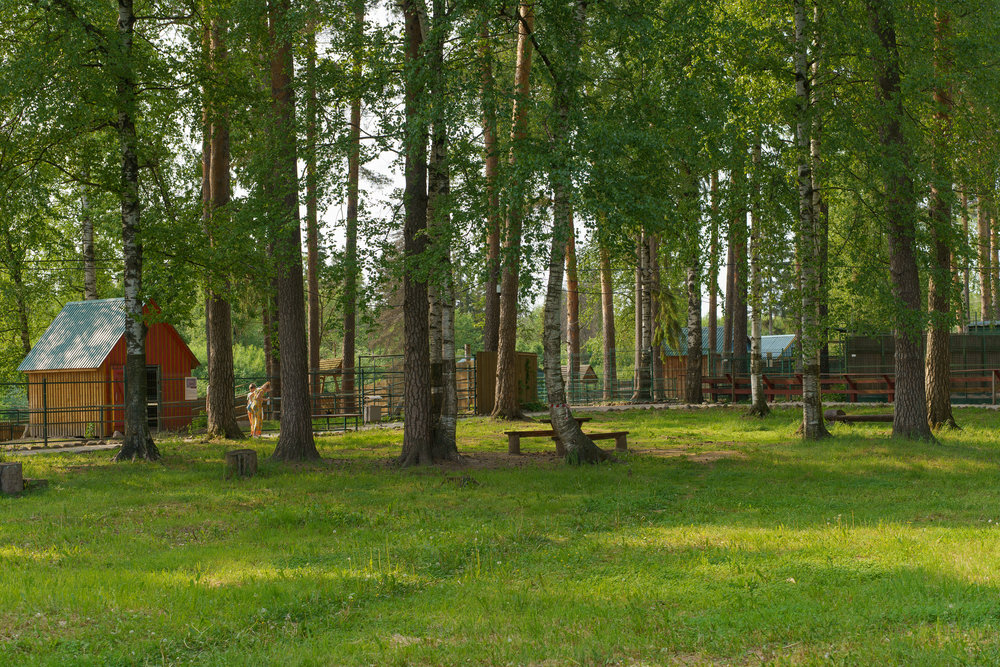 Зоопарк